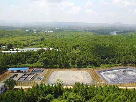 樂昌市豬場養(yǎng)殖廢水處理工程